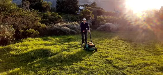 A gardener mowing a lawn in low evening light