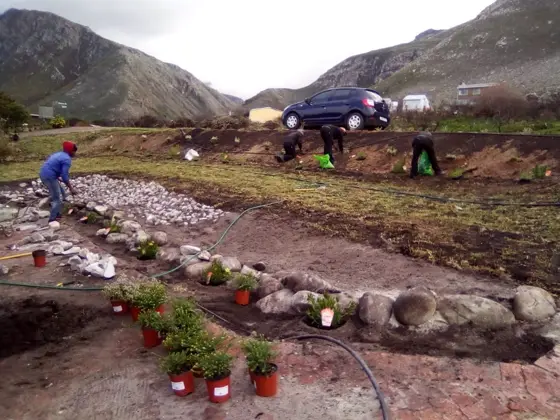 Crew planting a terraced roadside coastal bed with mountains behind