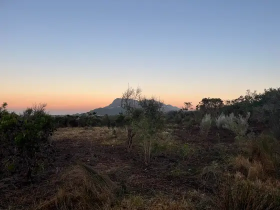 Cleared plot with a lone tree left standing, mountain in the background